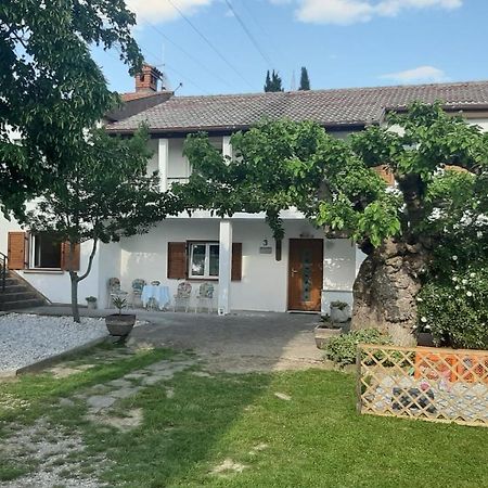 בית הארחה Šmarje 	Country House Gazon מראה חיצוני תמונה